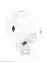 Fig. 03 - BINOCULARS WITH INTEGRATED LASER DESIGNATOR/ILLUMINATOR FOR ILLUMINATING AN OPTICAL FIELD OF VIEW
