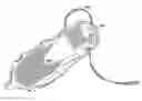 Fig. 01 - ELECTROSTATIC DISCHARGING OVERSHOE