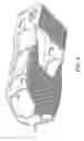 Fig. 07 - ELECTROSTATIC DISCHARGING OVERSHOE