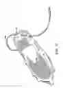 Fig. 20 - ELECTROSTATIC DISCHARGING OVERSHOE