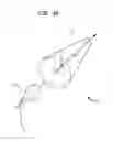 Fig. 02 - Portable Lighting Apparatuses and Methods