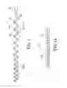 Fig. 02 - WEAVE UNIT WITH UNIFORM ILLUMINATION AND MANUFACTURING METHOD THEREOF