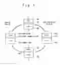 Fig. 02 - Magnetic memory cell and magnetic random access memory