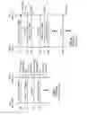 Fig. 08 - Reduced interframe spacing in a wireless transmission system