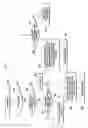 Fig. 10 - Power headroom report method and apparatus of UE