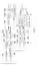 Fig. 07 - Optimized low-bit rate parametric coding/decoding