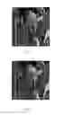 Fig. 08 - METHOD AND APPARATUS FOR HIDING DATA FOR HALFTONE IMAGES