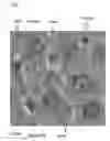 Fig. 01 - Systems and Methods for Object Identification