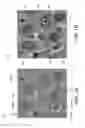 Fig. 02 - Systems and Methods for Object Identification