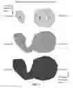 Fig. 06 - Systems and Methods for Object Identification