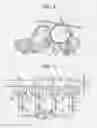 Fig. 03 - Method and apparatus for image forming capable of effectively eliminating color displacement by recognizing a rotational position of a rotating member with a mechanism using detection marks