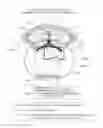 Fig. 01 - Fixing apparatus and image forming apparatus