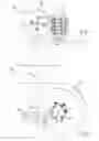 Fig. 03 - Cutting insert for a milling tool