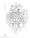 Fig. 03 - Rotary piston pump having converging inlet and outlet openings for conveying a fluid medium containing solids