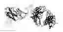 Fig. 01 - Method for treating psoriasis by administering an anti-IL-12 antibody