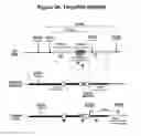 Fig. 04 - Methods of identifying candidate compounds of the human G protein-coupled receptor, GPR50, as modulators of body mass or adiposity