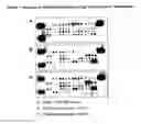 Fig. 02 - Stem Cell Conditioned Medium Compositions