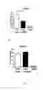 Fig. 04 - PROBIOTIC BIFIDOBACTERIUM STRAINS