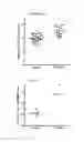 Fig. 09 - PROBIOTIC BIFIDOBACTERIUM STRAINS