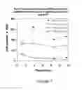 Fig. 08 - METHODS AND SYSTEMS FOR STORING AND PROLONGING VIABILITY OF MATRIX DEPENDENT CELLS