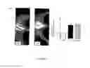 Fig. 02 - Use Of Adipose Tissue Cells For Initiating The Formation Of A Functional Vascular Network