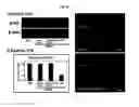 Fig. 08 - Compositions for improving migration potential of stem cells