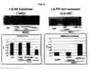 Fig. 10 - Compositions for improving migration potential of stem cells