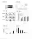 Fig. 08 - Methods and Compositions for Treating Viral Hemorrhagic Fever