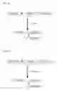 Fig. 06 - Treating a Disease of Hyperproliferation Using Retargeted Endopeptidases