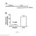 Fig. 08 - TREATMENT OF PRE-TERM NEONATES