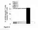 Fig. 04 - Composition to Induce Specific Immune Tolerance