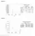 Fig. 08 - Treatment of stroke comprising anti-MAG antibodies