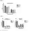 Fig. 09 - Treatment of stroke comprising anti-MAG antibodies
