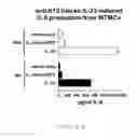 Fig. 07 - METHODS FOR MODULATING IL-33 ACTIVITY