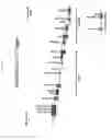 Fig. 02 - CANCER