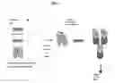 Fig. 04 - Modified antibody compositions, methods of making and using thereof