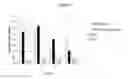 Fig. 19 - Modified antibody compositions, methods of making and using thereof