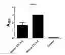 Fig. 20 - Modified antibody compositions, methods of making and using thereof