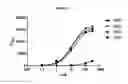 Fig. 24 - Modified antibody compositions, methods of making and using thereof