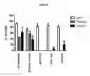 Fig. 26 - Modified antibody compositions, methods of making and using thereof