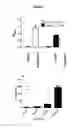Fig. 28 - Modified antibody compositions, methods of making and using thereof