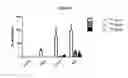 Fig. 29 - Modified antibody compositions, methods of making and using thereof