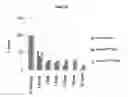 Fig. 31 - Modified antibody compositions, methods of making and using thereof