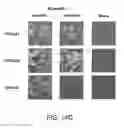 Fig. 26 - Compositions and methods for the therapy and diagnosis of influenza
