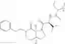Fig. 34 - Inhibitors of IAP