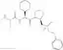 Fig. 58 - Inhibitors of IAP