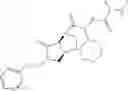 Fig. 95 - Inhibitors of IAP