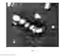 Fig. 09 - Functional influenza virus-like particles (VLPs)