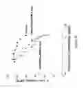 Fig. 41 - CATIONIC POLYMER COATED MESOPOROUS SILICA NANOPARTICLES AND USES THEREOF