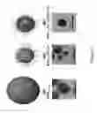 Fig. 44 - CATIONIC POLYMER COATED MESOPOROUS SILICA NANOPARTICLES AND USES THEREOF